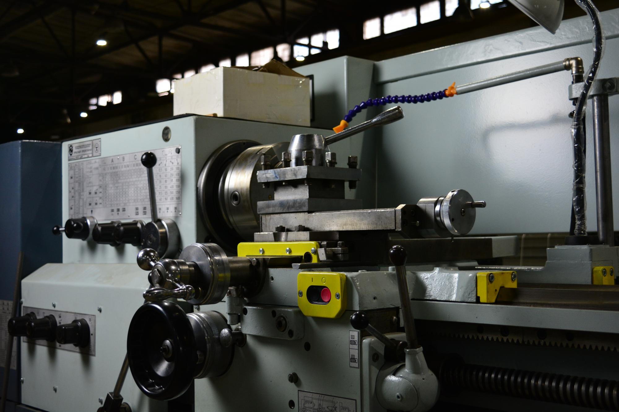 Наши новые друзья Наши новые друзья